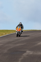 PJ-Motorsport-2019;anglesey-no-limits-trackday;anglesey-photographs;anglesey-trackday-photographs;enduro-digital-images;event-digital-images;eventdigitalimages;no-limits-trackdays;peter-wileman-photography;racing-digital-images;trac-mon;trackday-digital-images;trackday-photos;ty-croes